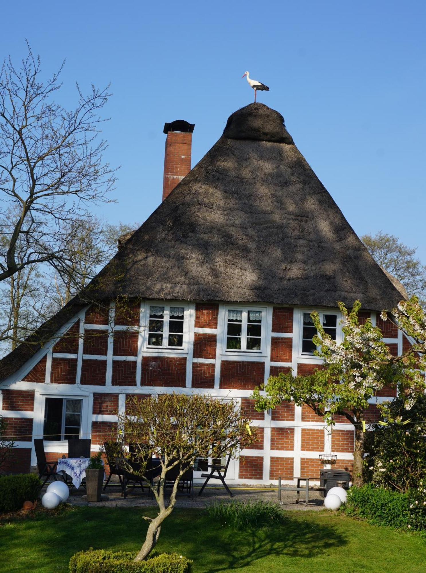 Altes Landhaus Oste, Klavier Appartement, 2 Zimmer Mit Kamin Hemmoor Buitenkant foto